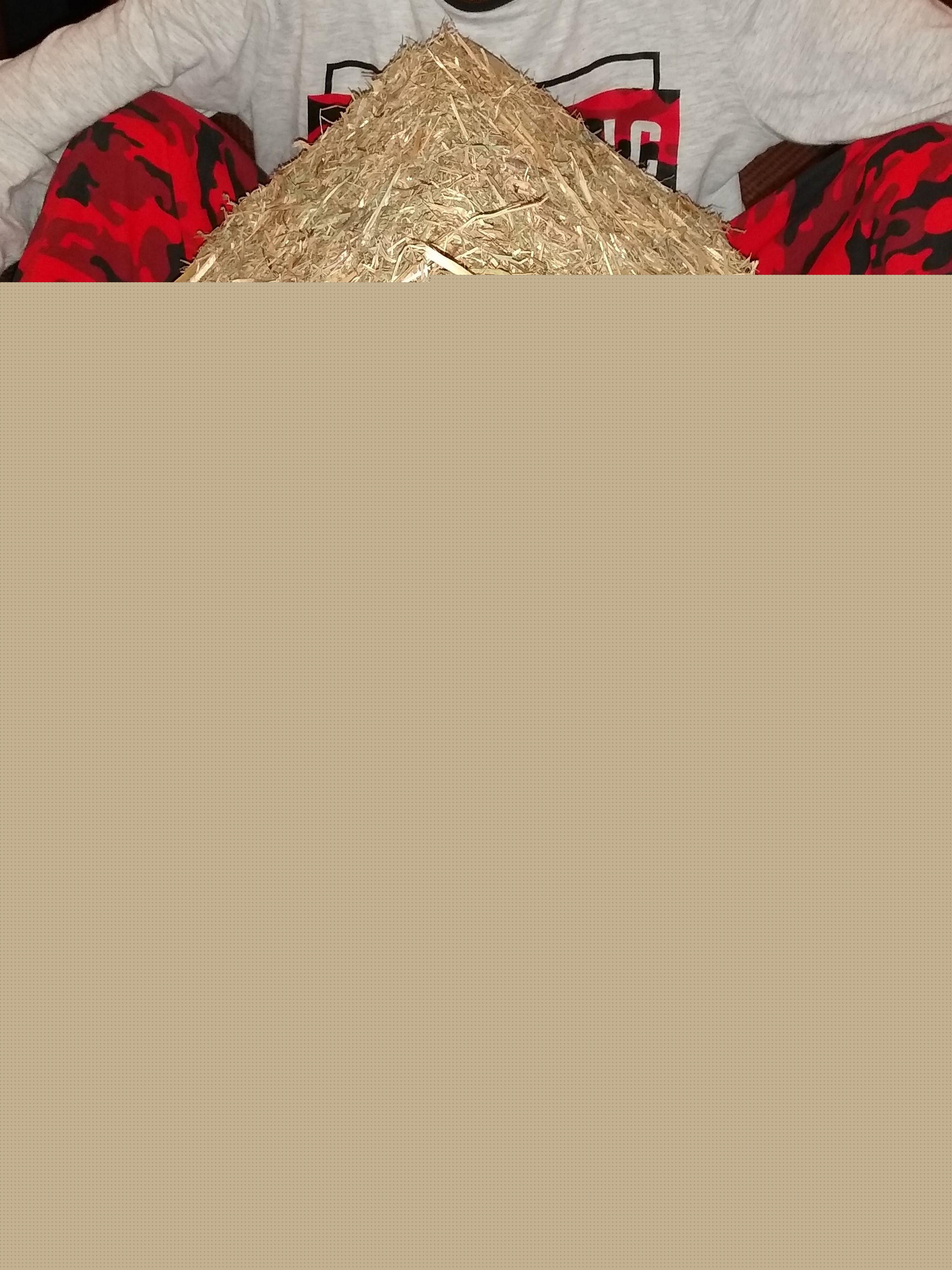 Anglo Saxon house by Daniel in 4H